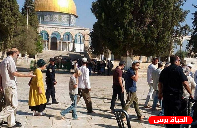 البكري : أكثر من22  إقتحاما للاقصى ومنع رفع الاذان في الابراهيمي 48 وقتا خلال كانون الاول الماضي  